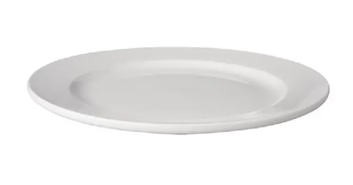 Dinerbord 25 cm huren (per 20 stuks)